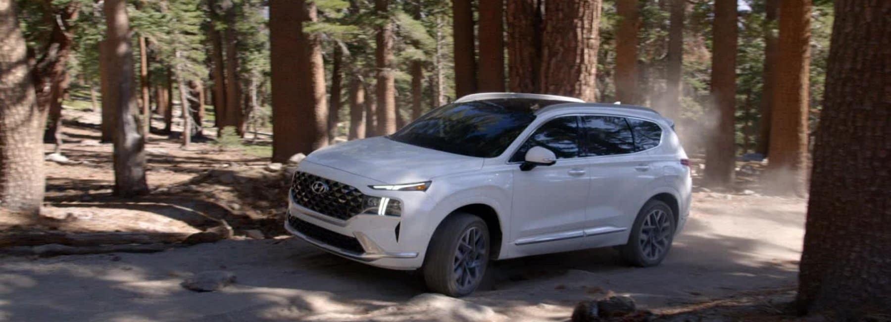 2022santafe-side-angleview-driving-through-forest-white