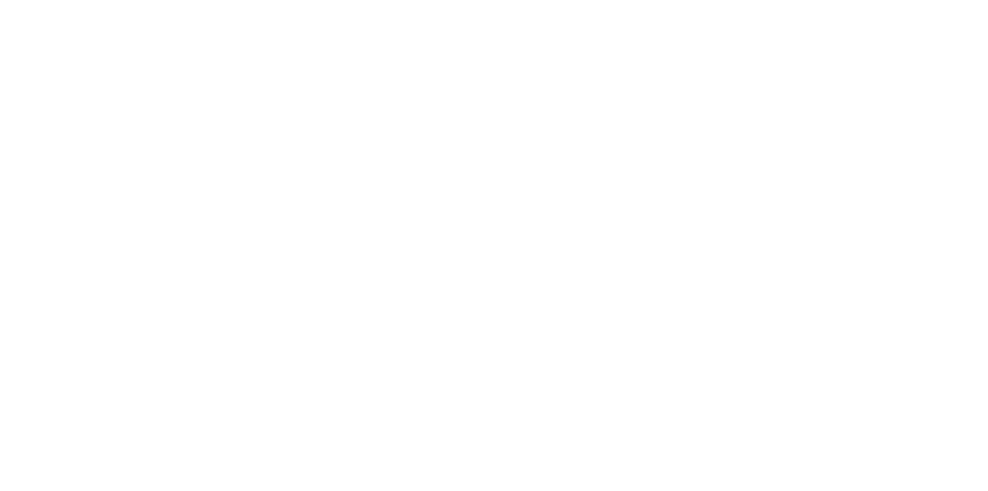 payment-options-invert