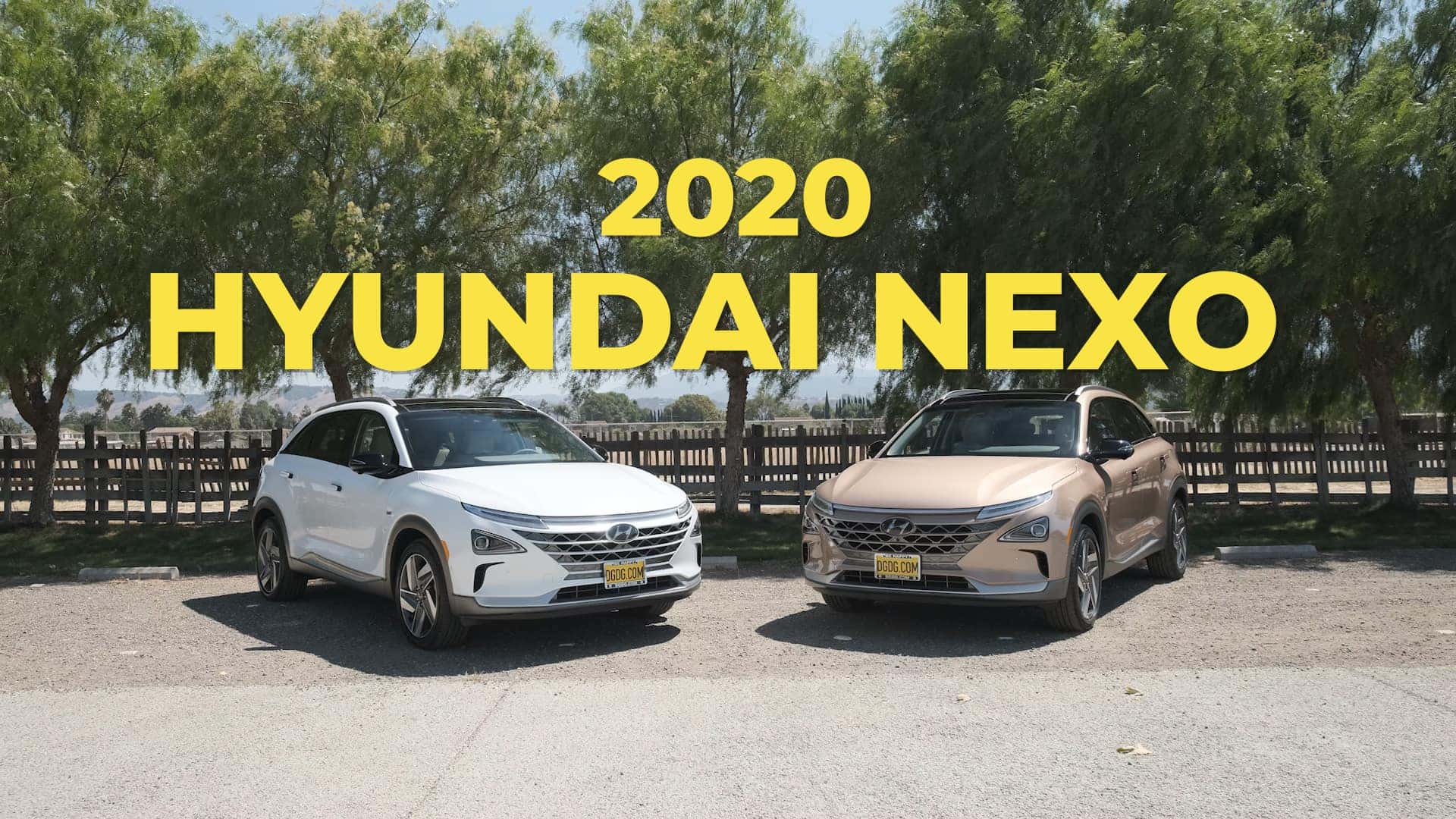 Two 2020 Hyundai Nexo next to each other
