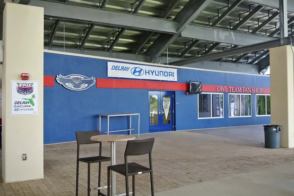 Delray-Hyundai-Owl-Team-Fan-Shop