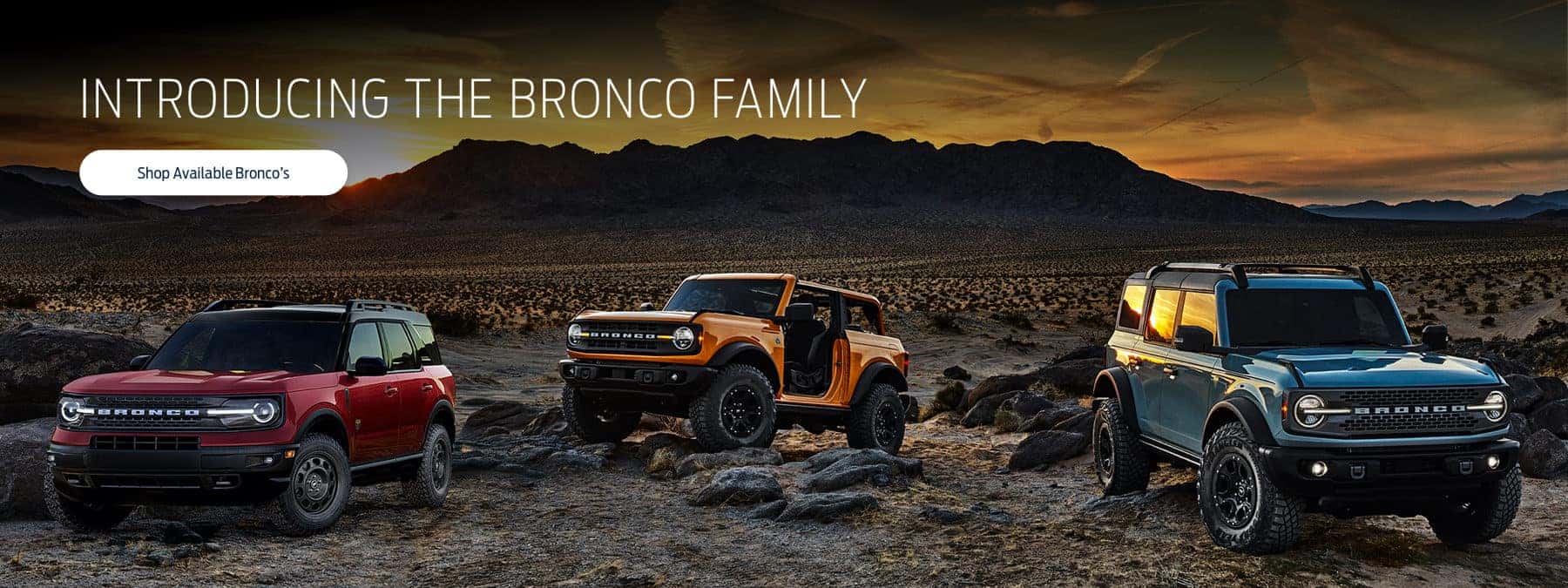 Introducing the Bronco Family