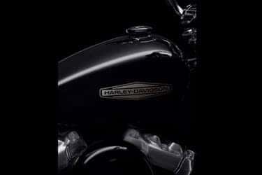 https://di-uploads-development.dealerinspire.com/dibrandhubharleydavidson/uploads/2021/01/2021-SoftailStandard-Features-06.jpg