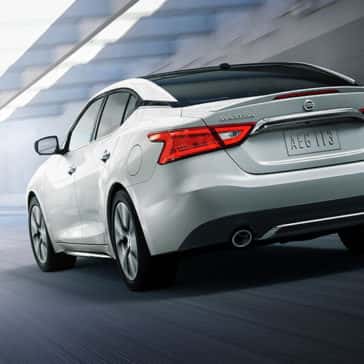 2017 nissan maxima pearl white rear view grey