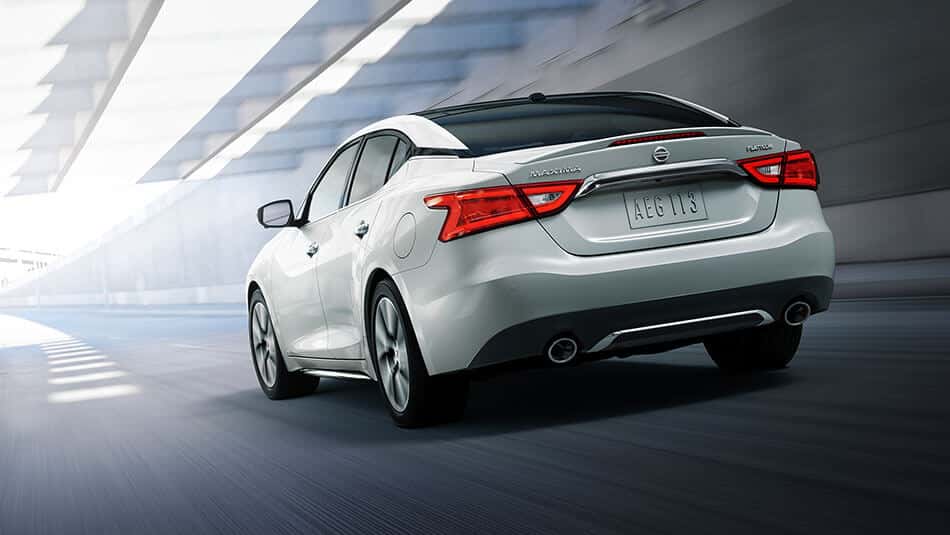2017 nissan maxima pearl white rear view grey