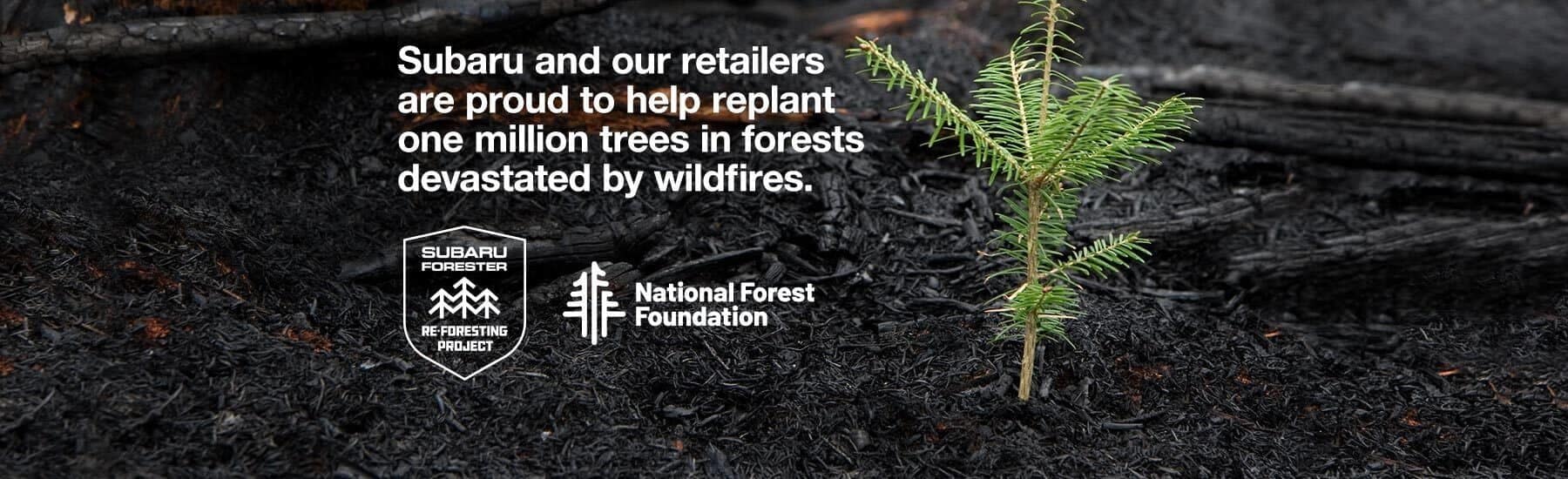 Subaru and our retailers are proud to replant one million trees in forests devastated by wildfires.