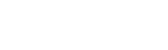 Don Franklin Somerset Hyundai Logo