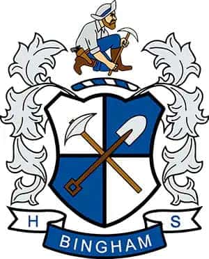 Bingham High School