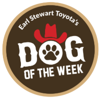 dog-of-the-week-badge