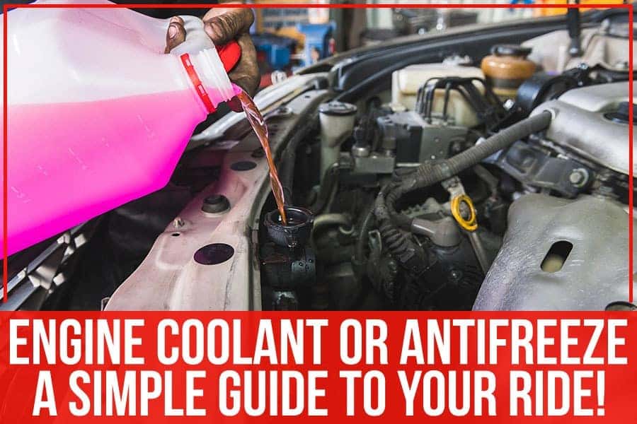 Engine Coolant Or Antifreeze: A Simple Guide To Your Ride!