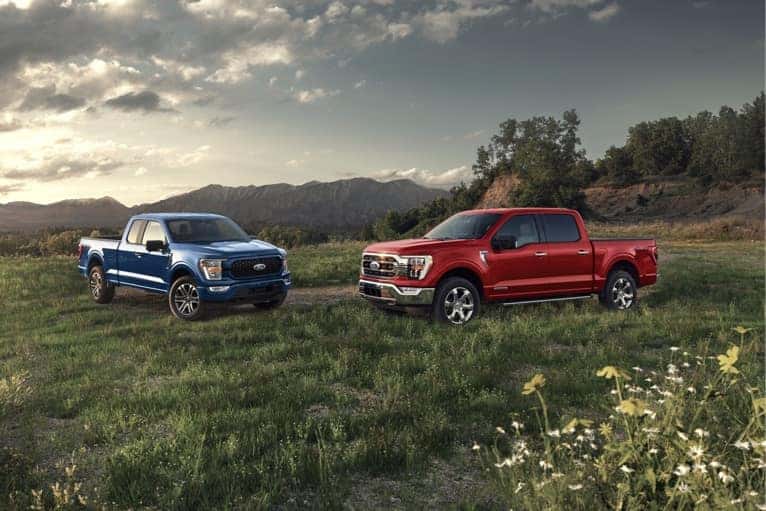 two-Ford-f150s-parked-in-field