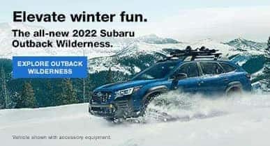 Elevate Winter Fun