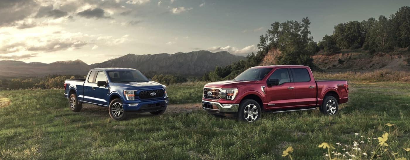A blue and a red 2021 Ford F-150 are parked on grass in front of mountains."A blue and a red 2021 Ford F-150 are parked on grass in front of mountains.