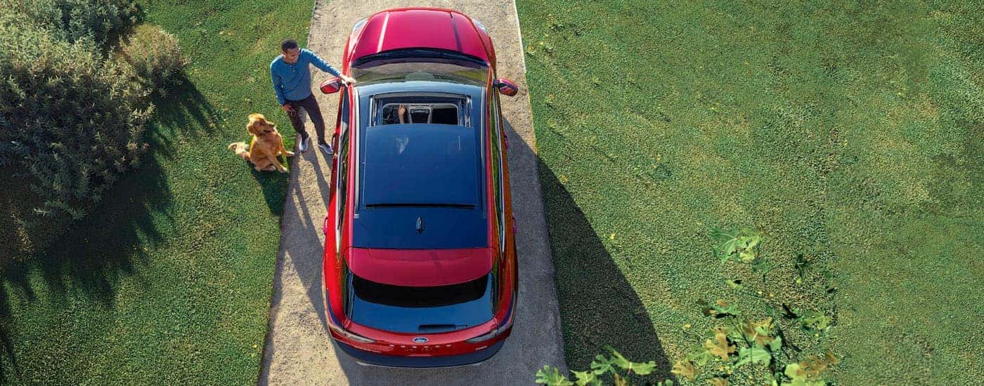 A red 2021 Ford Escape is shown from a high angle next to a man and dog after leaving a Ford Escape dealership.