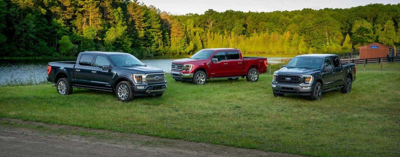 A blue, a red and a gray 2021 Ford F-150 are parked in front a river after leaving a Ford F-150 dealership near Pueblo.