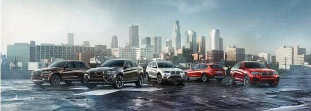 BMW group shot
