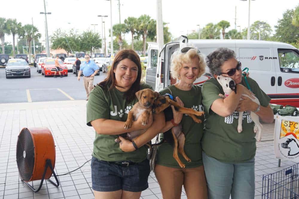 Puppy adoption event