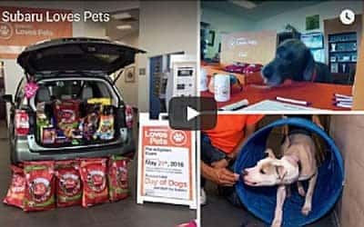 Grapevine Subaru Loves Pets