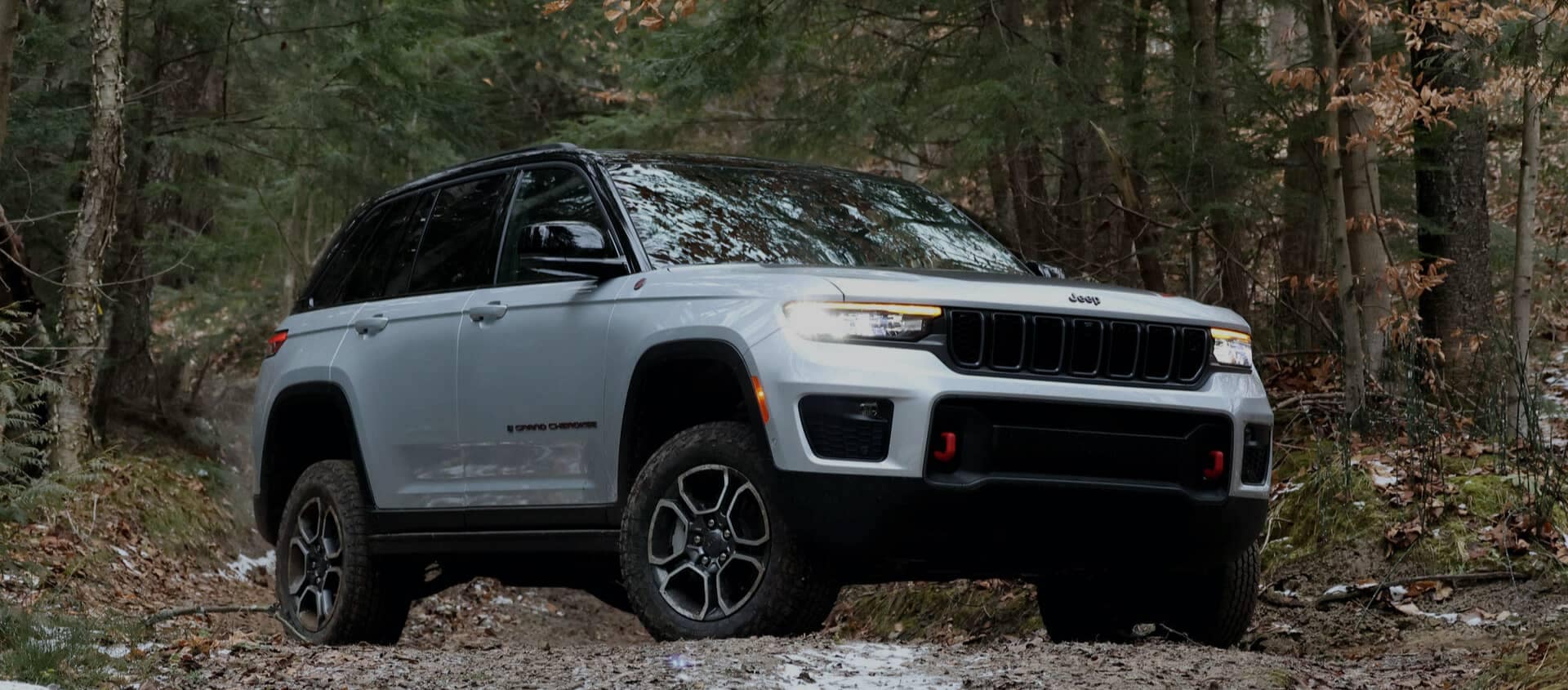 White Jeep Grand Cherokee in the woods