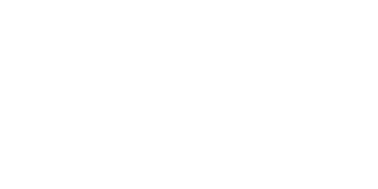 wipers for life