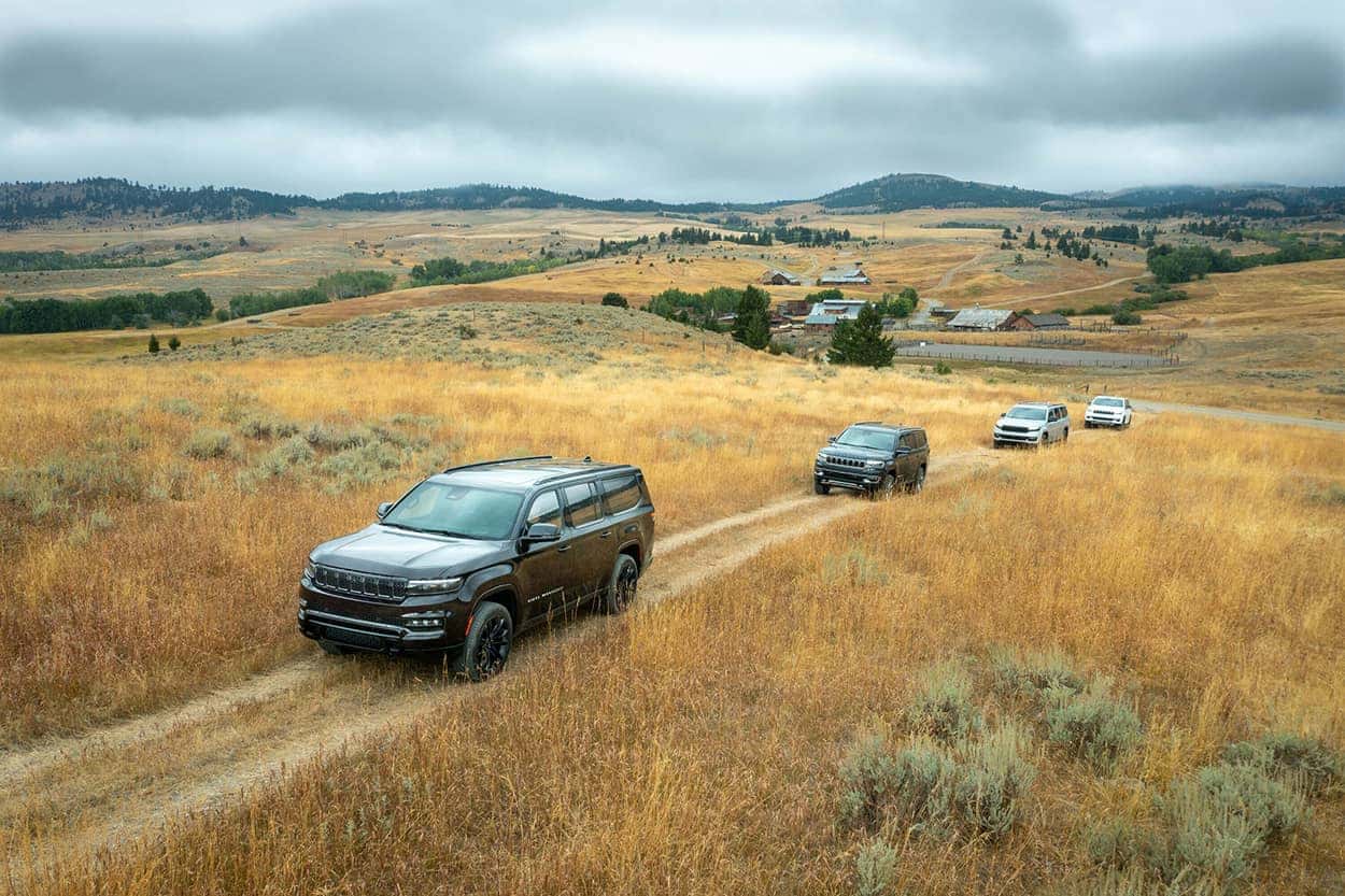 Jeeps driving in a field
