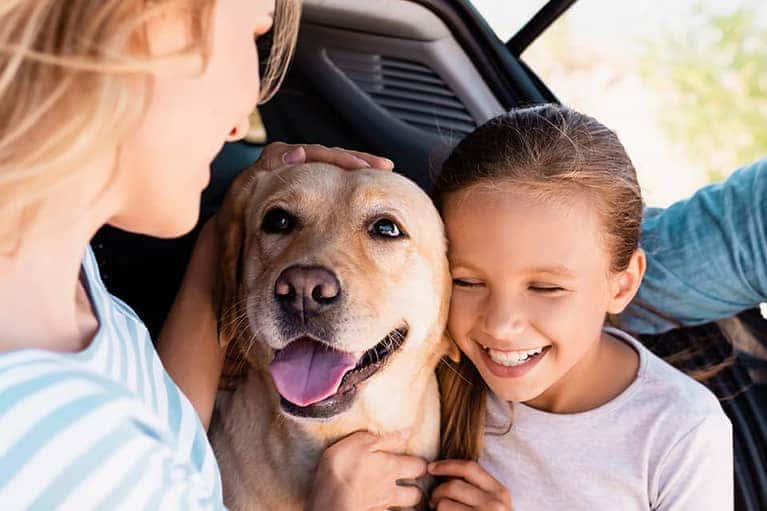 Happy family and a dog sitting in the back of a car 2 mobile