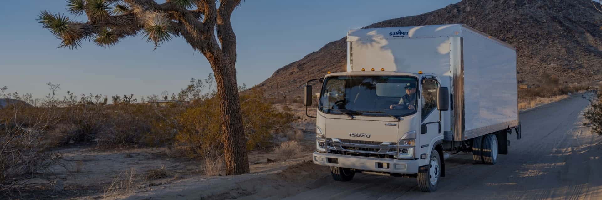 Isuzu truck parked on desert road