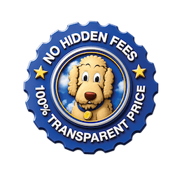 Custom Dealer Logo