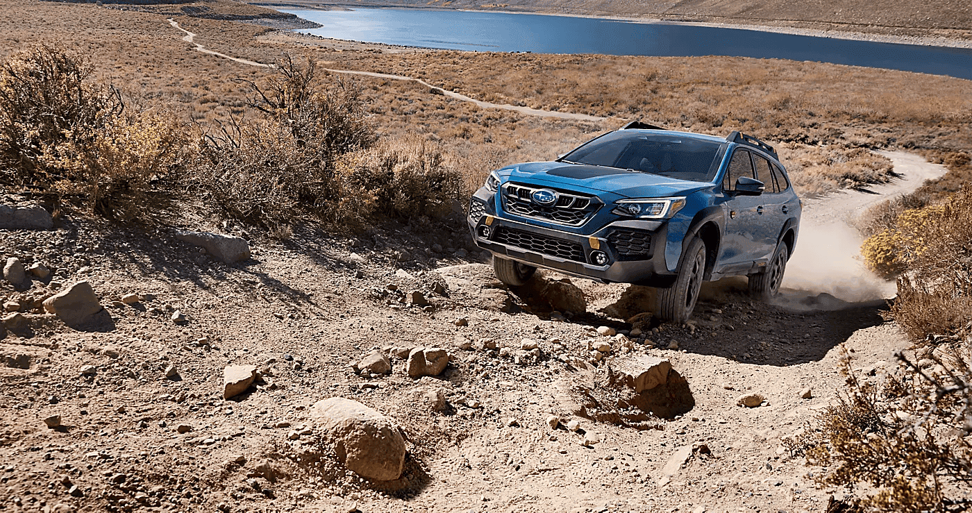 Outback crossing rough terrain