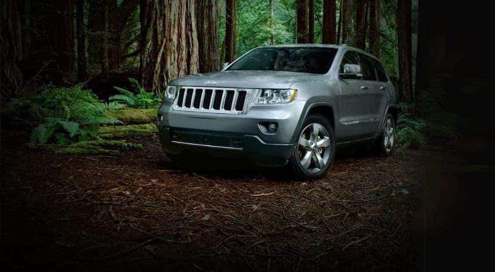 A silver 2011 Jeep Grand Cherokee is shown parked off-road in the woods.