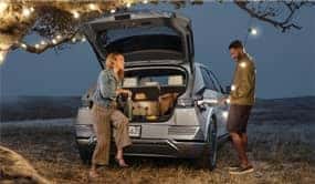 Hyundai Ioniq - 2 people with trunk open parked under a tree