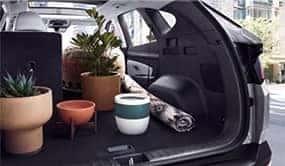 Hyundai tucson hybrid trunk open with plants and pots in the back