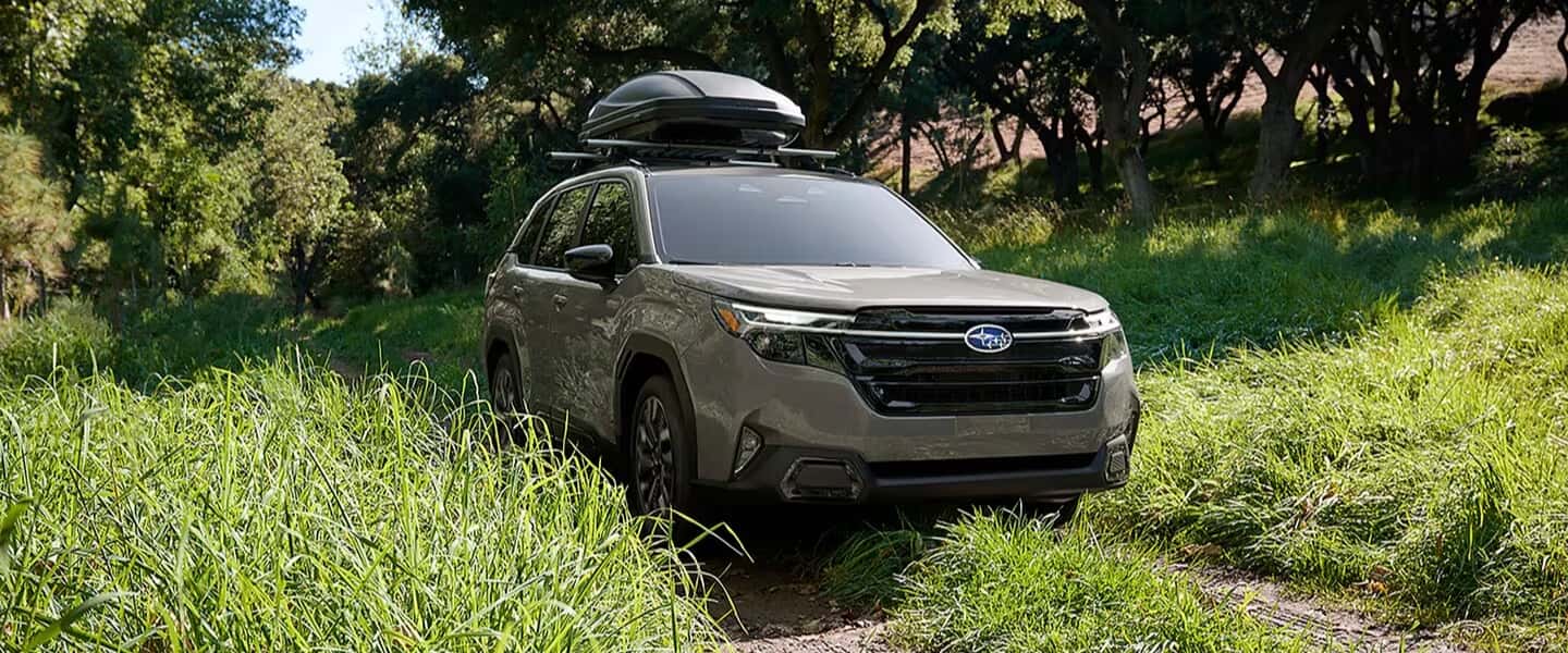 Subaru Research Slide