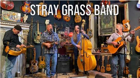 Stray grass band