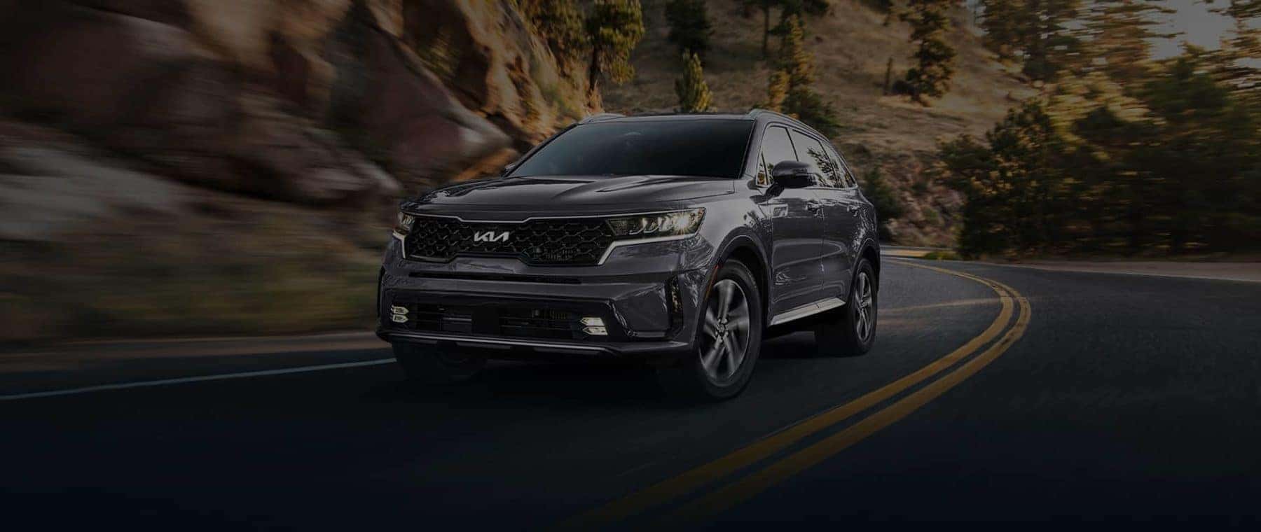 Orlando Kia Dealer in Orlando FL Altamonte Springs Winter Park Longwood Kia Dealership Florida