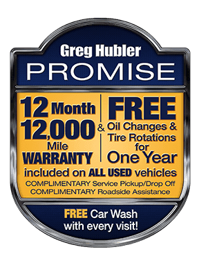 12-month-promise