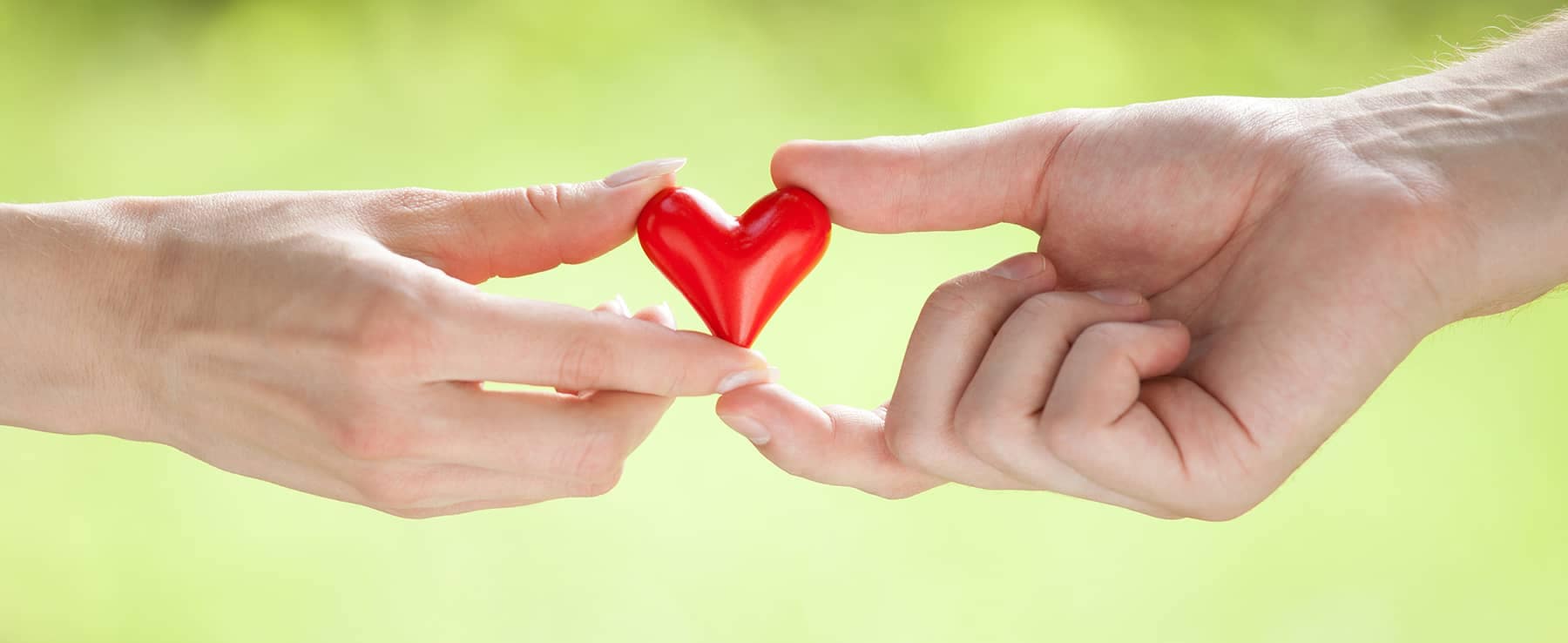 two people's hands holding a small heart