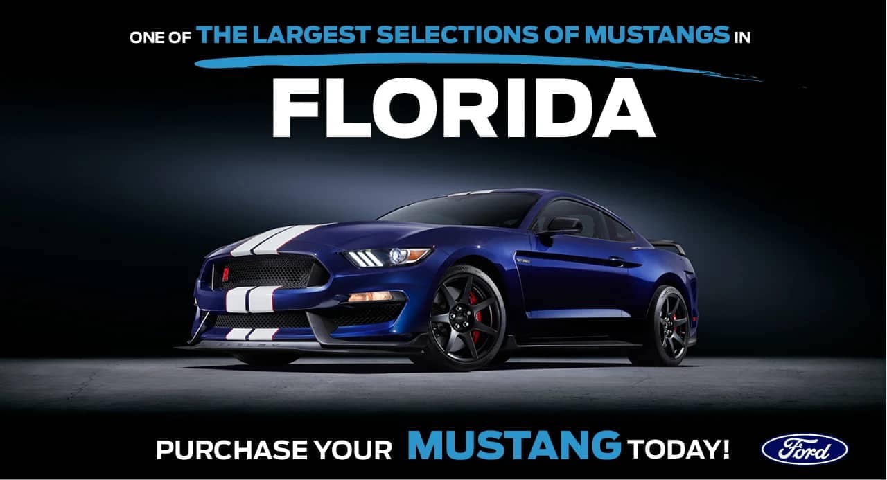 Mustang Market