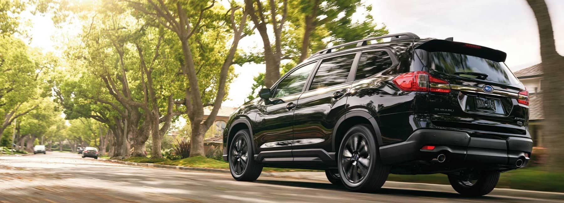 2022 Subaru Ascent-low angled view-driving on tree-lined street- black