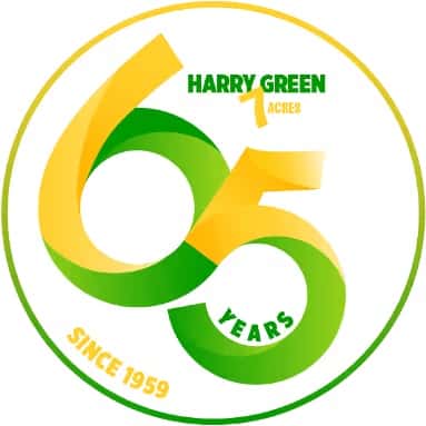 Harry Green - 65 Years logo