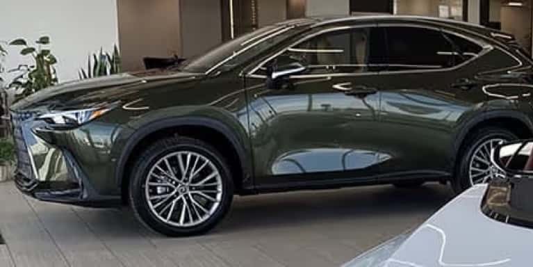 Harvey-Lexus-showroom-SB