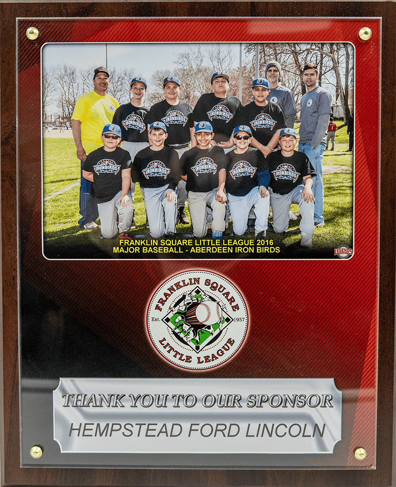 Franklin Sq Little League Iron Birds