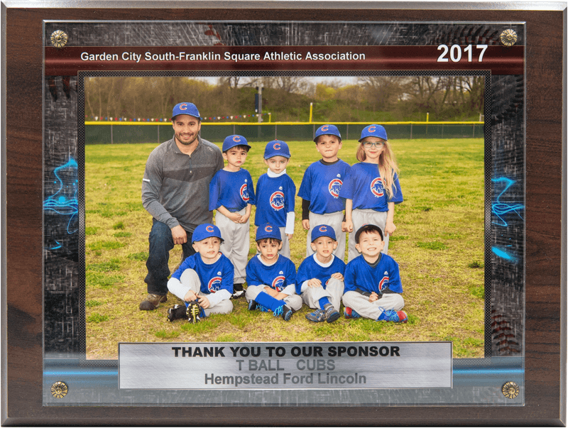 2017 South Little League