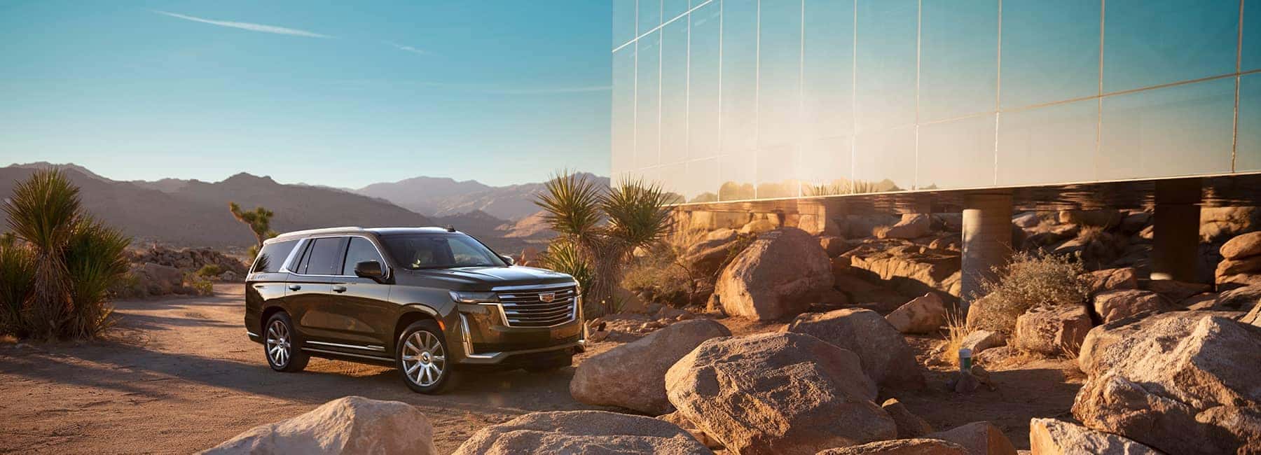 Cadillac in the desert under the sunlight