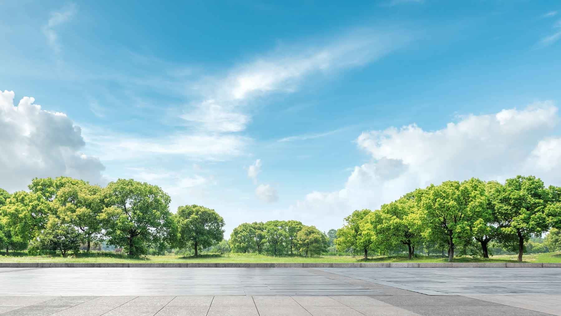 Holiday Spring Forward Background