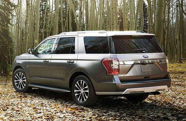 2019 Ford Expedition MAX gray back view