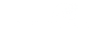 Hollywood_Kia_light