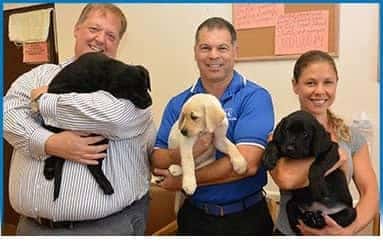 bearsBuddiesPilotPuppies