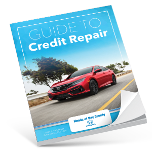 Guide to Credit Repair eBook Thumbnail