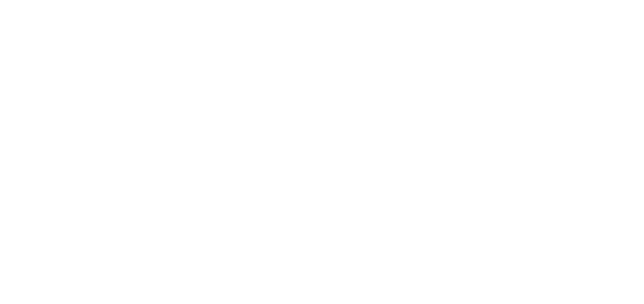 Honda of Port Richey