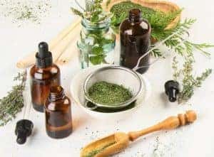 Herbs